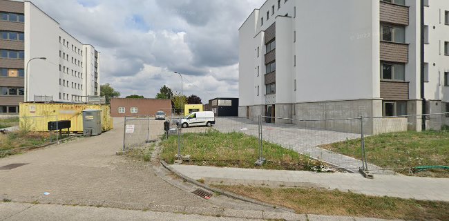 Fondation Prince Laurent Dispensaire, Bétail - Dierenarts