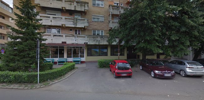 Strada Petőfi Sándor nr. 38, Satu Mare 440117, România
