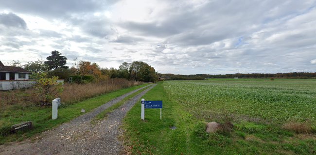 Natur- Og Miljøskolen - Køge