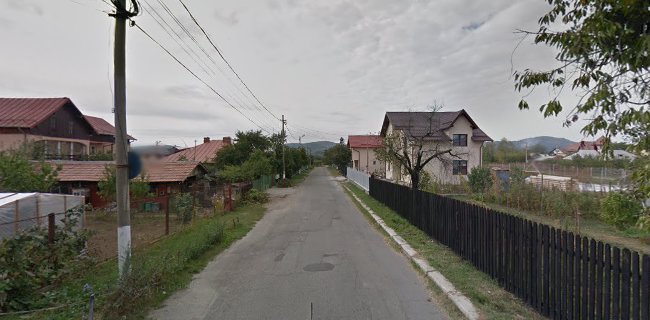 Strada Viitorului 4d, Câmpina 105600, România