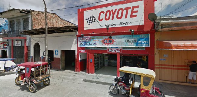 Coyote - Iquitos