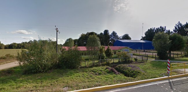 Opiniones de Colegio Basico JUANITA GALLARDO en Maullín - Escuela