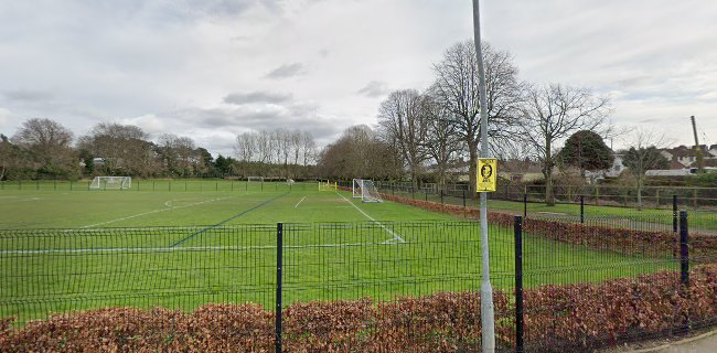 Moat Football Pitches