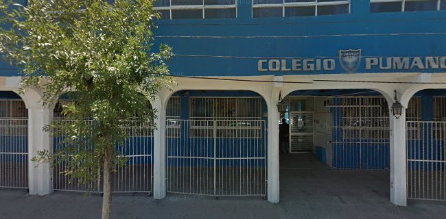 Colegio Particular Pumanque