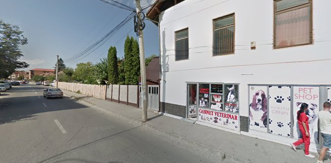 colț cu electricienilor, Strada Vasile Aaron, Sibiu 550286, România