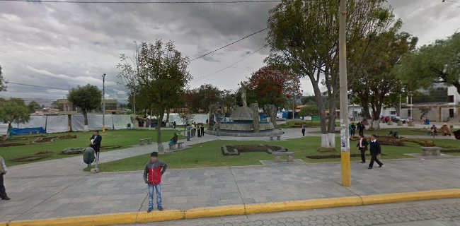 Opiniones de SSAMP SAC en Cajamarca - Empresa de fumigación y control de plagas