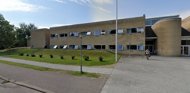 Anmeldelser af Frederiksværk Gymnasium og HF i Frederiksværk - Skole