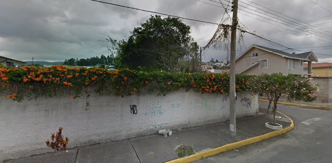 Fiorina - Quito