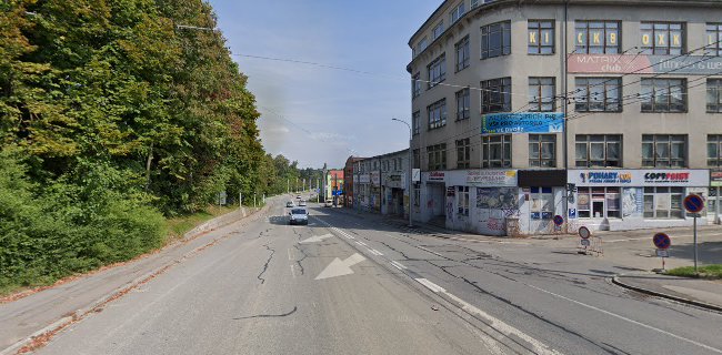 58, Havlíčkova 206, 586 01 Jihlava, Česko