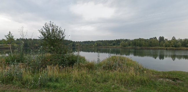 Jezioro Camping - Kielce