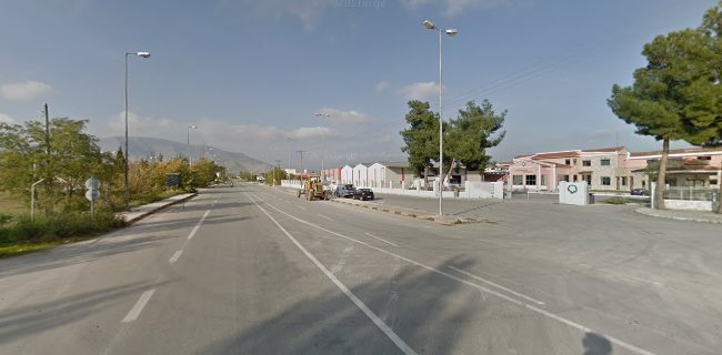 1ο χλμ, Τύρναβος 401 00, Ελλάδα