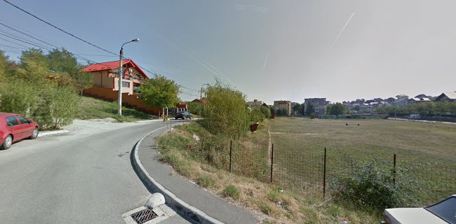 Strada Codrii Cosminului 25, Pitești 117141, România