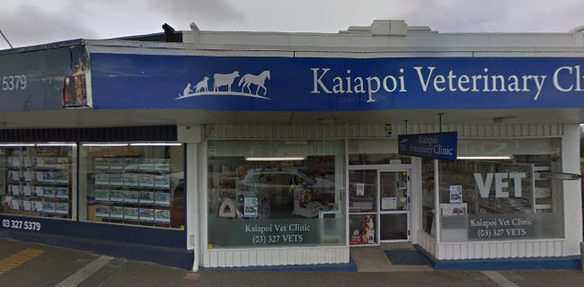 Reviews of Kaiapoi Letterbox Sculpture in Kaiapoi - Museum