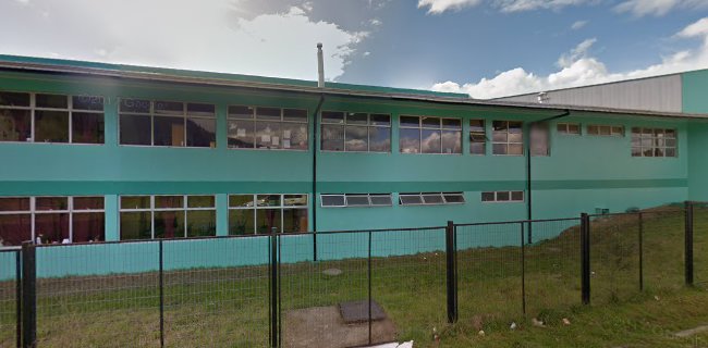 Opiniones de Escuela Nueva Collilefu en Los Lagos - Escuela