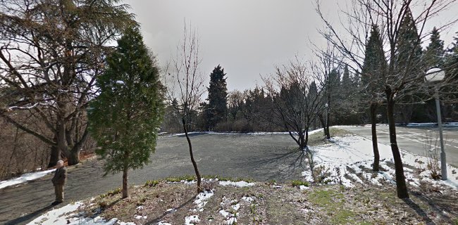 6004 Митрополит Методий Кусев, Стара Загора, България
