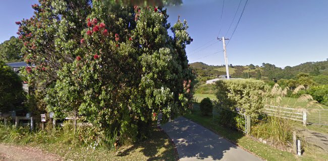 Reviews of Flaxmill Cove B&B in Whitianga - Ice cream