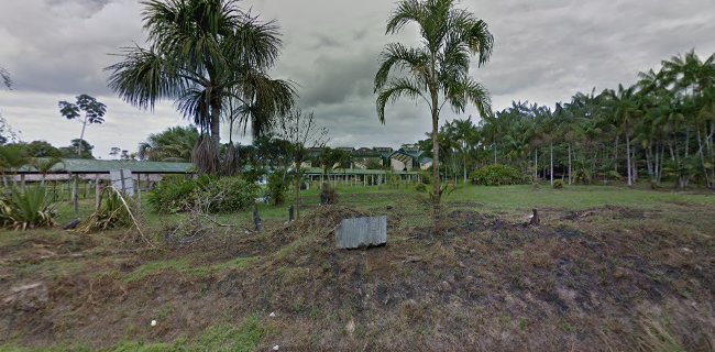 Facultad De Agronomía-UNAP - Iquitos