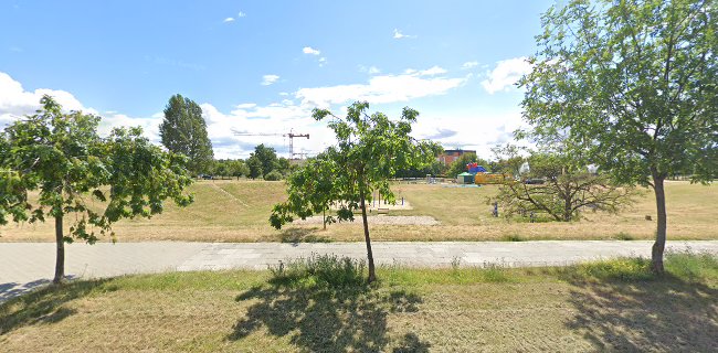 Opinie o Street workout calisthenics Park Górczyński w Gorzów Wielkopolski - Kompleks sportowy