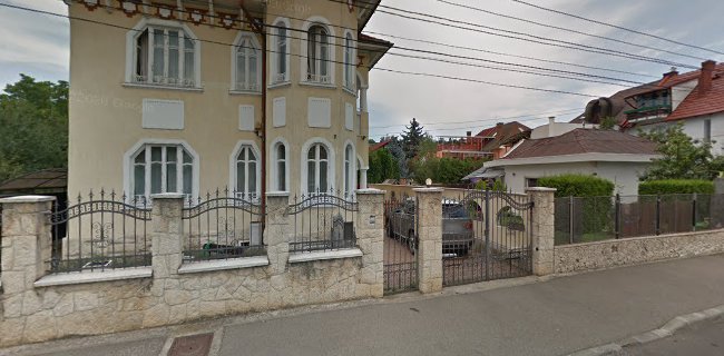 Opinii despre Cabinet veterinar si salon de toaletaj canin Multivet - Cluj-Napoca în <nil> - Veterinar