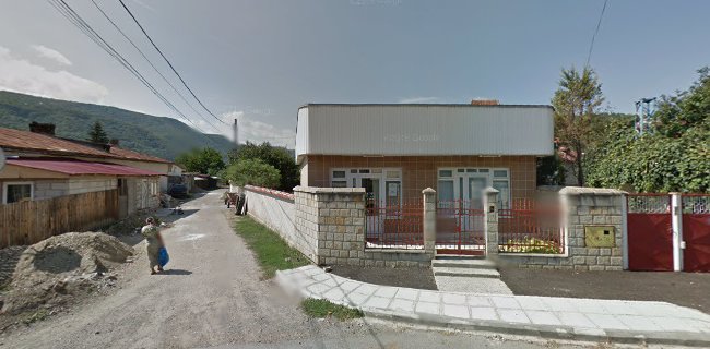 Dragomir Residence
