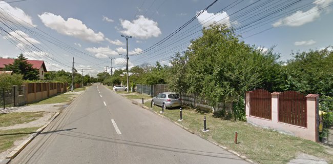 Strada Tudor Vladimirescu nr 29 F, Otopeni 075100, România