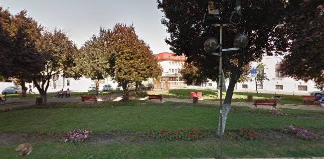 Oficiul registrului comerțului de pe lângă Tribunalul Buzău - Avocat