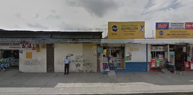 Mis 3 Cachoritos Tienda Veterinaria - Guayaquil