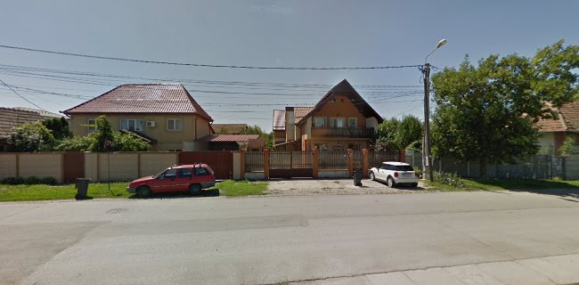 Strada Locotenent Ovidiu Balea 51A, Timișoara 300620, România
