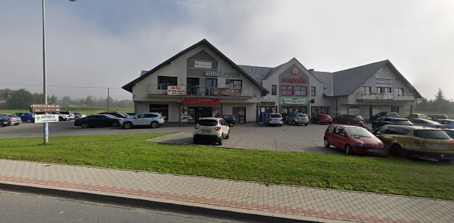 Centrum Usług Medycznych "Salus" Męcina - Fizjoterapeuta
