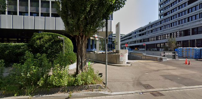 Skribble - Zürich