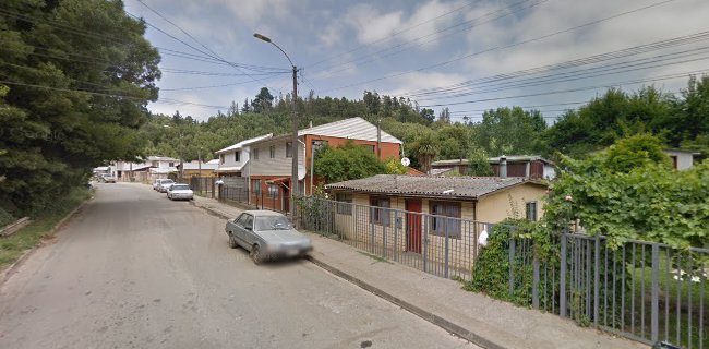 Los copihues, Pedro Villa 16, Concepción, Bío Bío, Chile