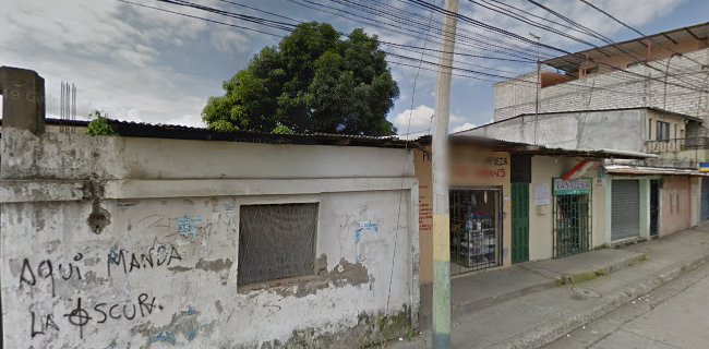 Pañalera Y Plásticos - Guayaquil