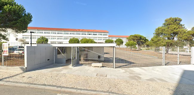 Escola Secundária Dr. Joaquim de Carvalho, R. Dra. CristinaTorres, 3080-210 Figueira da Foz, Portugal