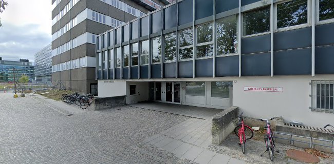 August Krogh-bygningen - Universitet