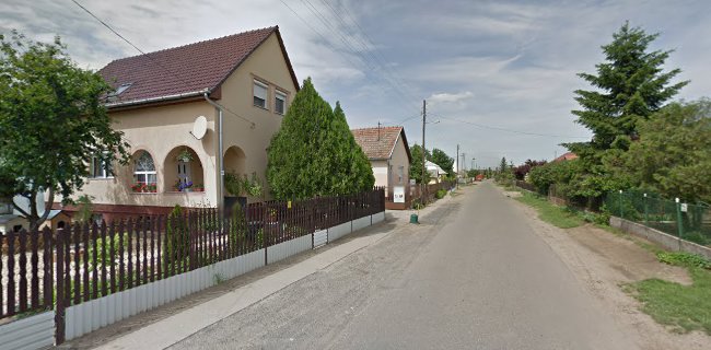 Szegedi Táp-Takarmány Üzlet