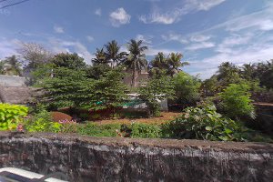 Chennai Gem Paradise image