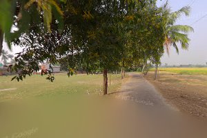 Kanpur school playground কানপুর স্কুল প্লেগ্ৰাউন্ড image