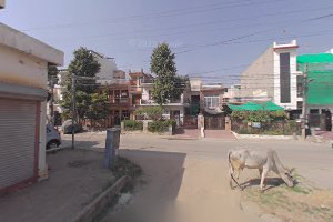 Gunnu's kathi junction image