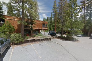 Tahoe Forest Therapy Services - Tahoe City image