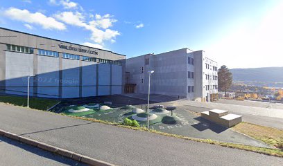 Nord-Aurdal Ungdomsskole (NAUS)