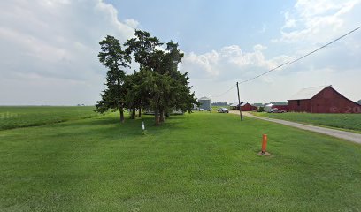 Popcorn Spoor Farms