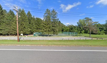 George T. Smith Park-tennis court