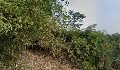 Lihat kebunku