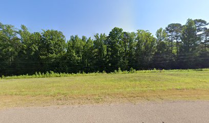 Little Walnut Grove MB Church Cemetery