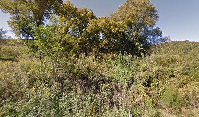 Crawford Family Cemetery (Originally known as Lefforge Family)