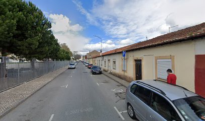 Transportes Ribeiro Lda.