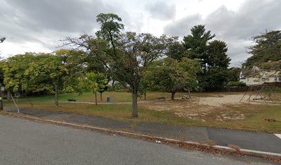 Chelmsford Street Park