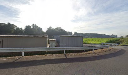 島田洋蘭園