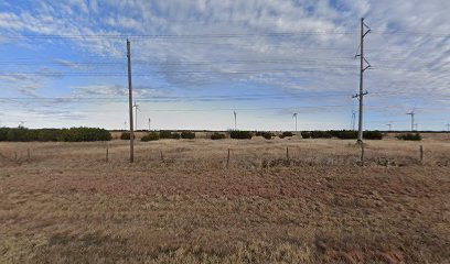 Buffalo Gap Wind Farm 1 LLC