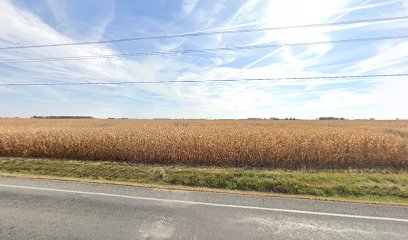 Odum's Feed Barn